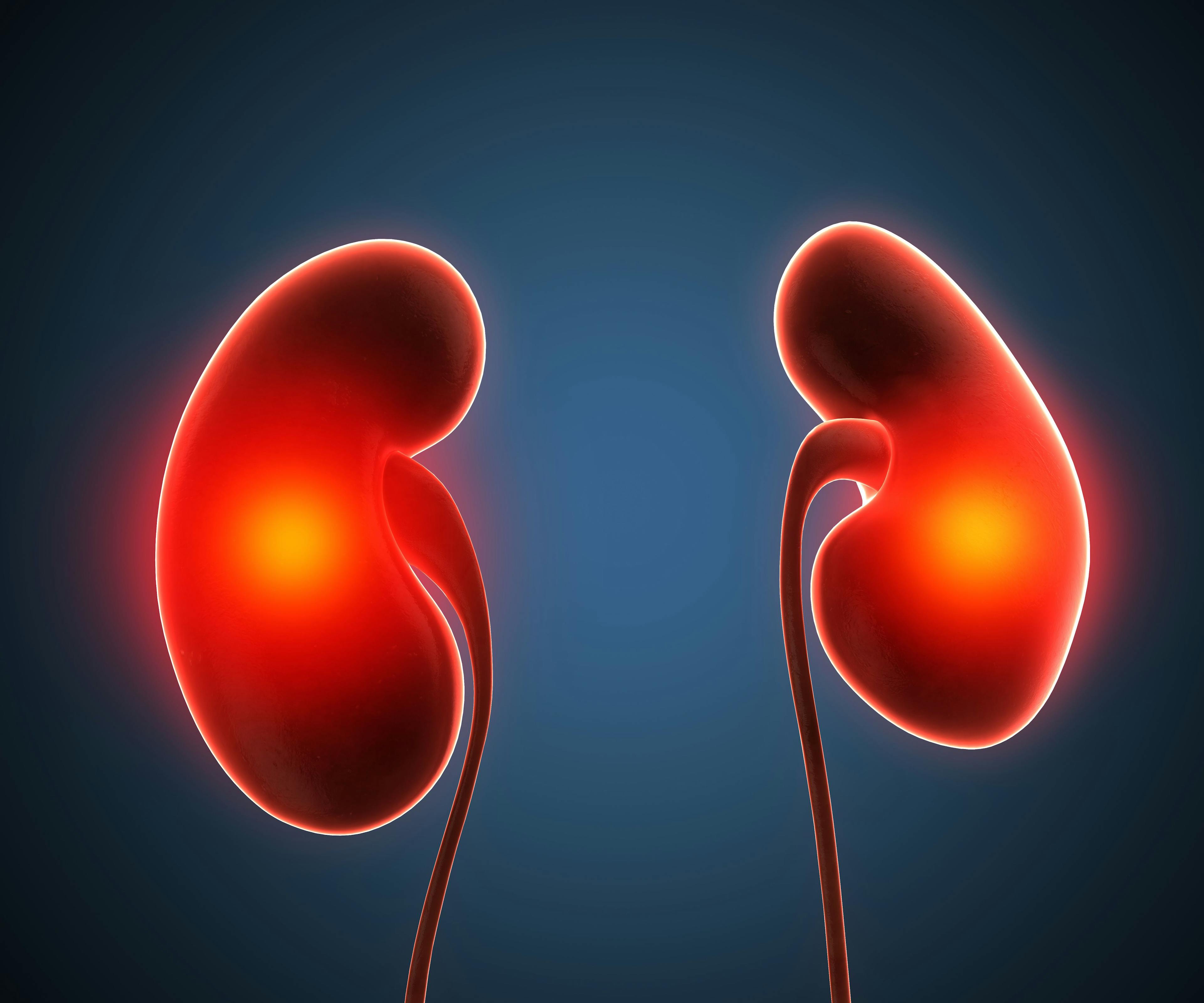 Image of two kidneys.