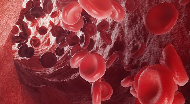 Image of red blood cells moving in a stream.