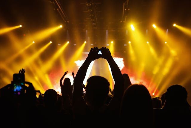 Image of people at a concert. 