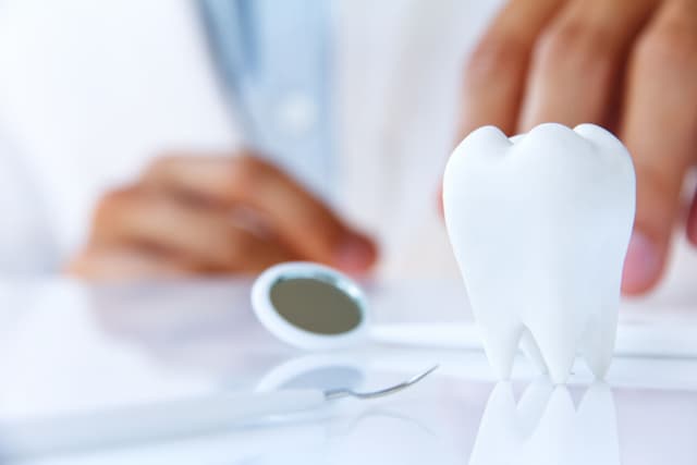 Image of dental tools with a model of a large molar. 