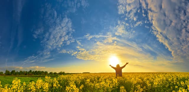 Image of a person in a field with their hands outstretched to the sky. 