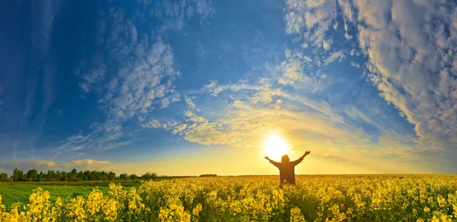 Image of a person in a field with their hands outstretched to the sky. 