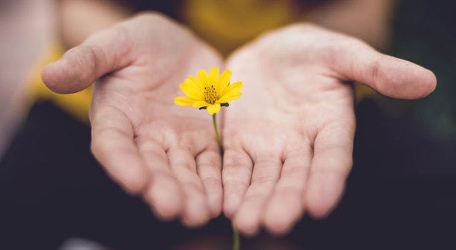 Image of a person holding a flower between their hands. 